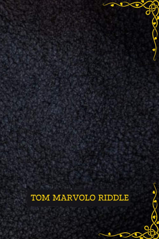 Tom Marvolo Riddle - Grand Carnet de Notes Jedusor: Ligné - 120 Pages (French Edition) - 3069