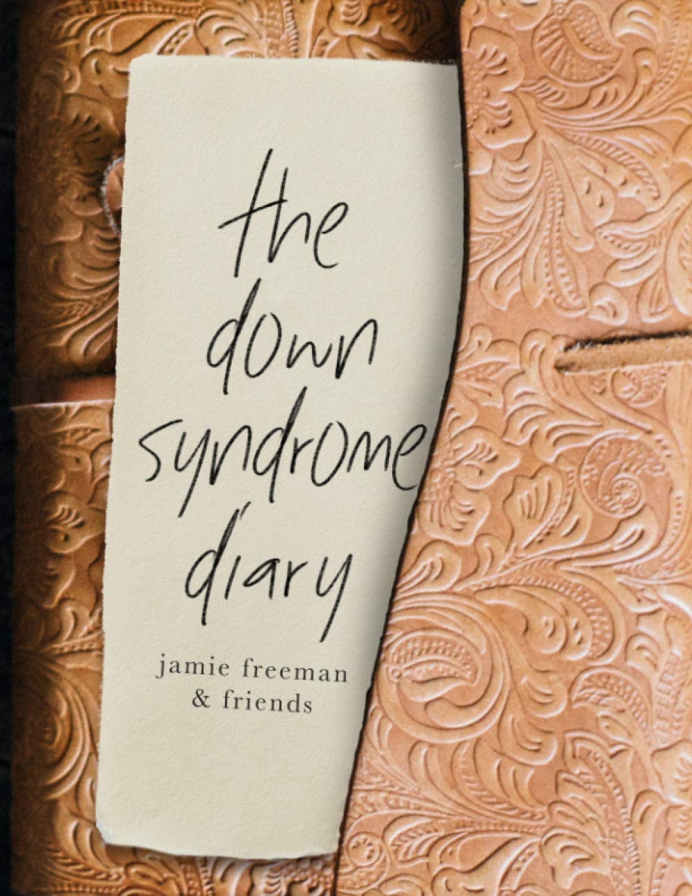 The Down Syndrome Diary: The journey of one little book that will change the world. (The Down Syndrome Diaries)
