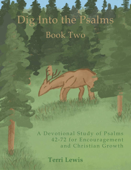 Dig Into the Psalms Book Two: A Devotional Study of Psalms 42-72 for Encouragement and Christian Growth