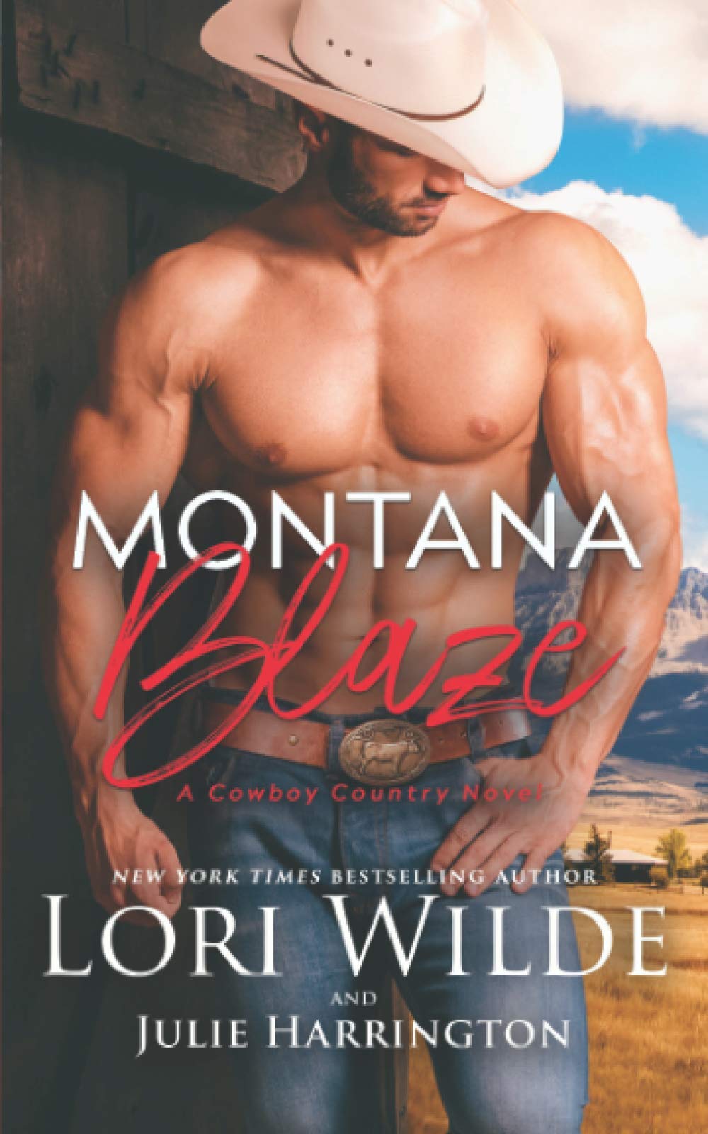 Montana Blaze (Cowboy Country)