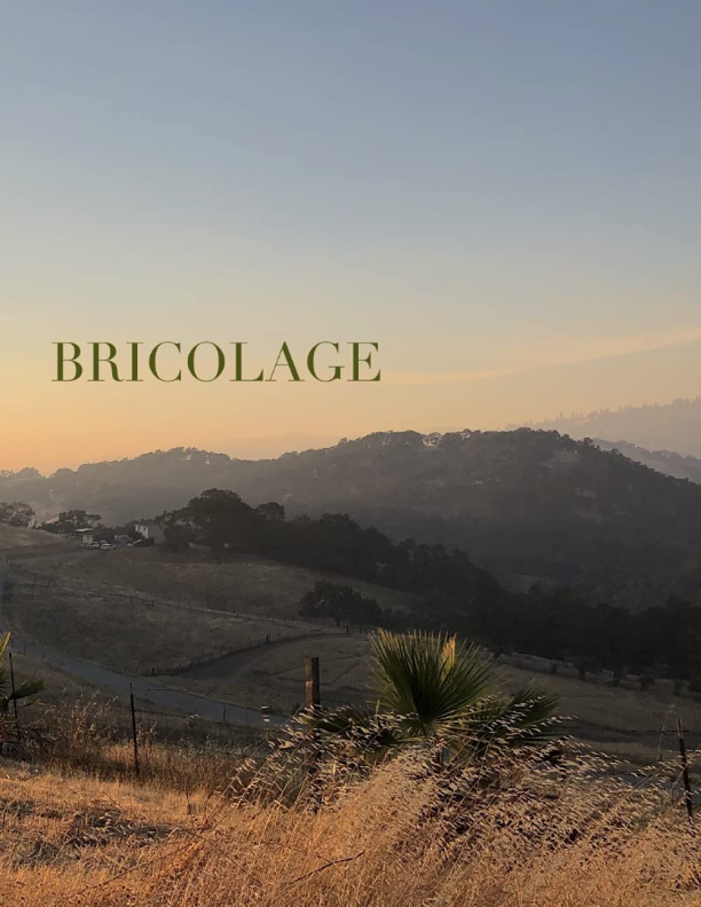 Bricolage: A Journal of Comparative Literature: Issue 16 - 3579