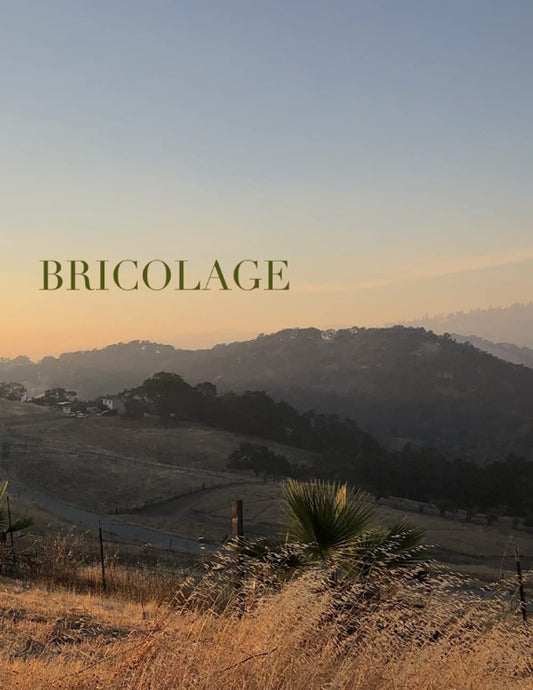 Bricolage: A Journal of Comparative Literature: Issue 16 - 3579