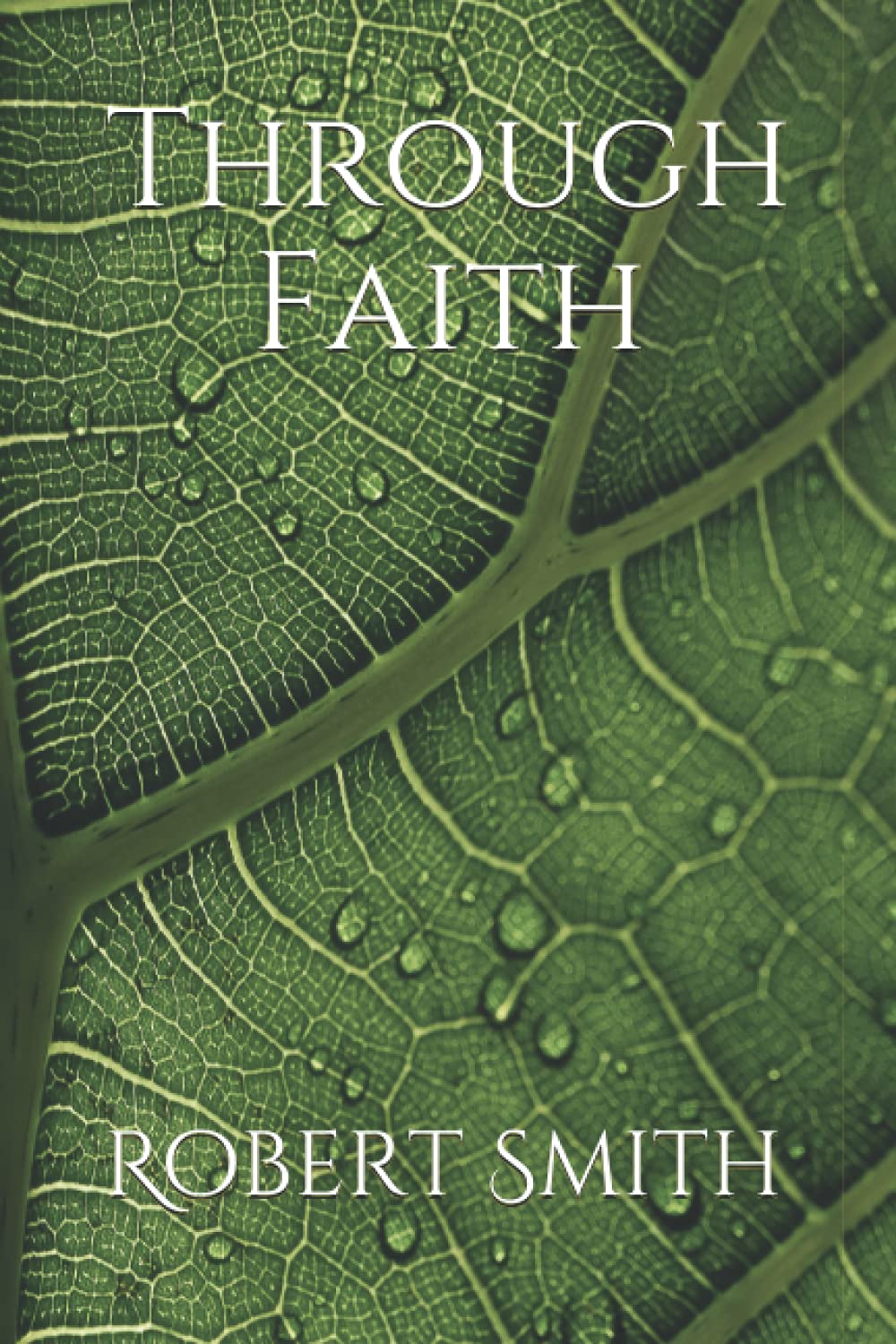Through Faith - 3073