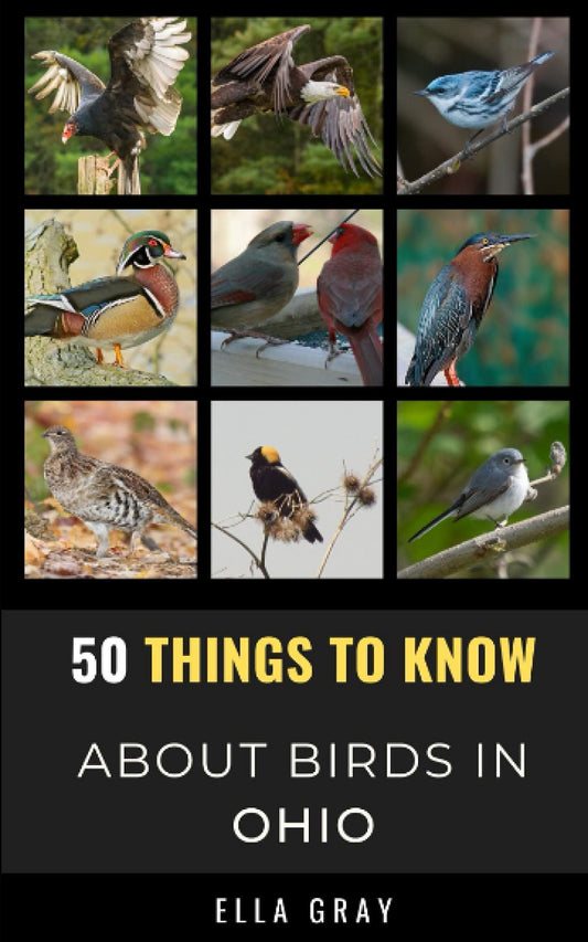 50 Things to Know About Birds in Ohio: Birding in the Buckeye State (50 Things to Know About Birds and Birdwatching: Birdwatching guides, bird identification tips, and regional bird books)