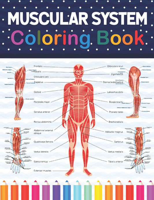 Muscular System Coloring Book: Human Muscular System Self test Guide for Anatomy Students. Human Muscle Art & Anatomy Workbook for Kids & ... Anatomy Coloring Book for Kids Boys Girls. - 1759