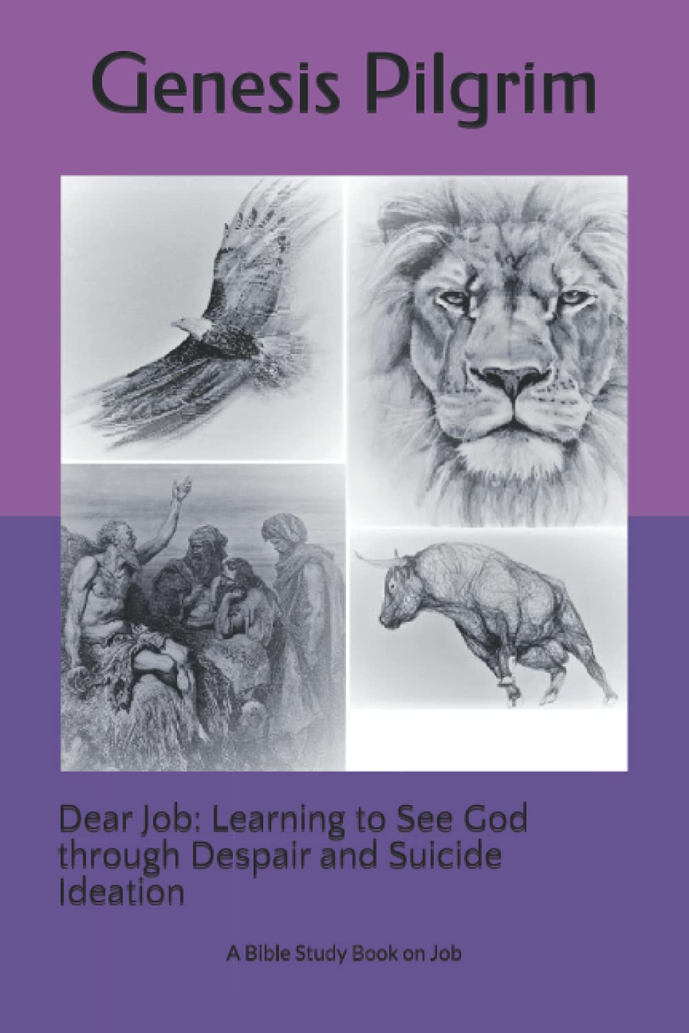 Dear Job: Learning to See God through Despair and Suicide Ideation: A Bible Study Book on Job