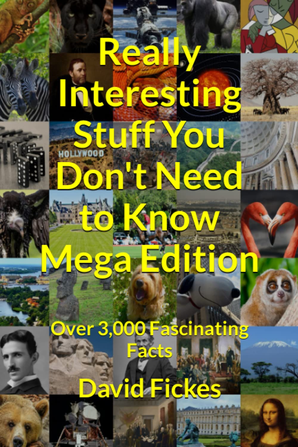 Really Interesting Stuff You Don't Need to Know Mega Edition: Over 3,000 Fascinating Facts - 8001