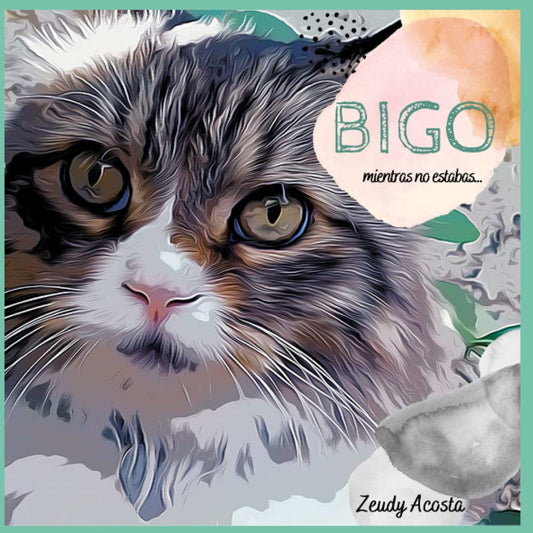 BIGO: Mientras no estabas (Spanish Edition)