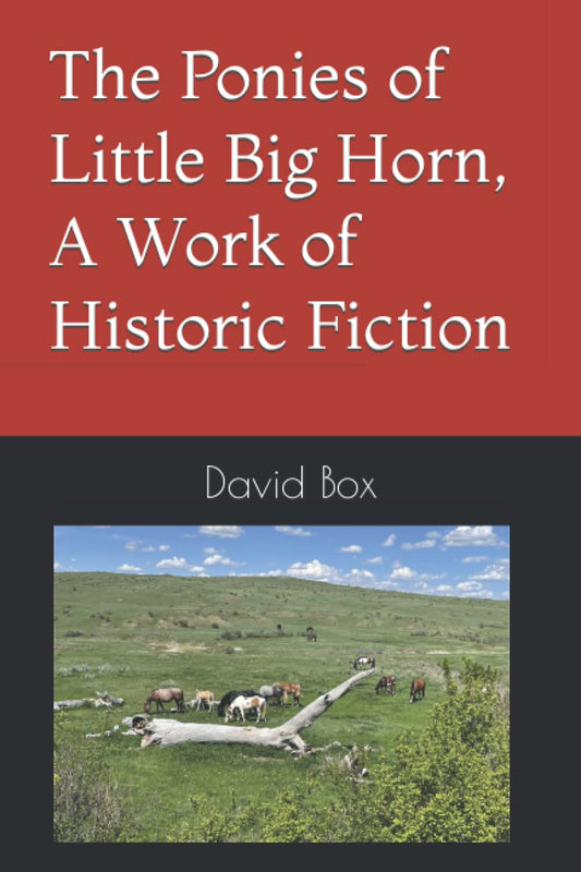 The Ponies of Little Big Horn, A Work of Historic Fiction