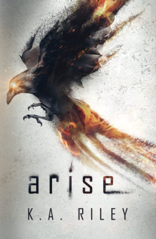 Arise: A Dystopian Novel (The Ravenmaster Chronicles) - 9533