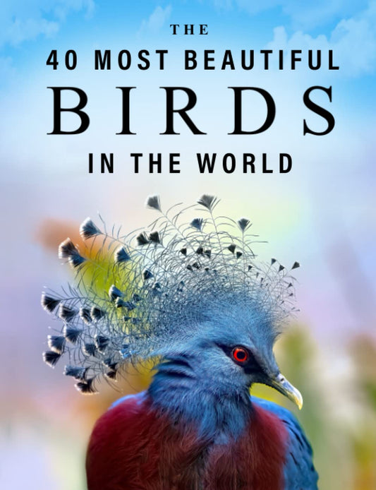 The 40 Most Beautiful Birds in the World: A full color picture book for Seniors with Alzheimer's or Dementia (The "Most Beautiful World" Series) - 6479
