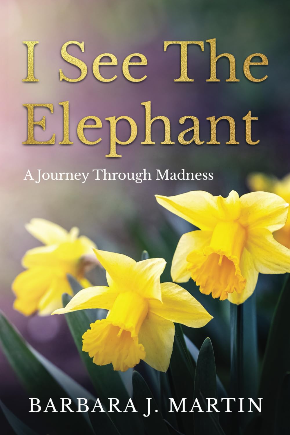 I See The Elephant: Teach your child they have no self-worth and they will lead an unfulfilled life