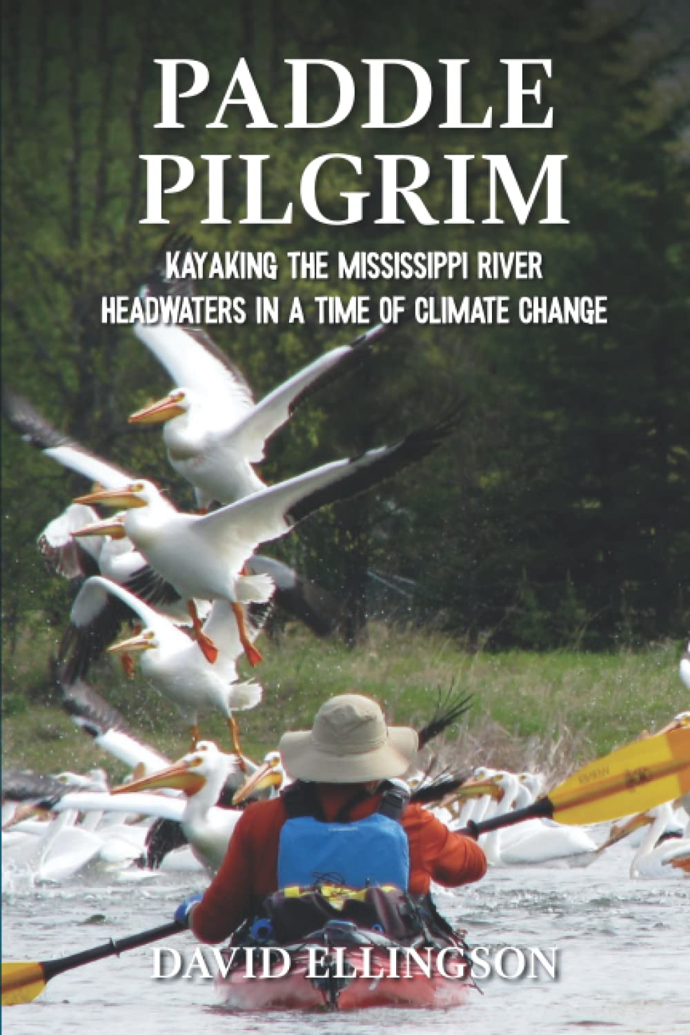 Paddle Pilgrim: Kayaking the Mississippi River Headwaters in a Time of Climate Change (Paddle Pilgrim Adventures)