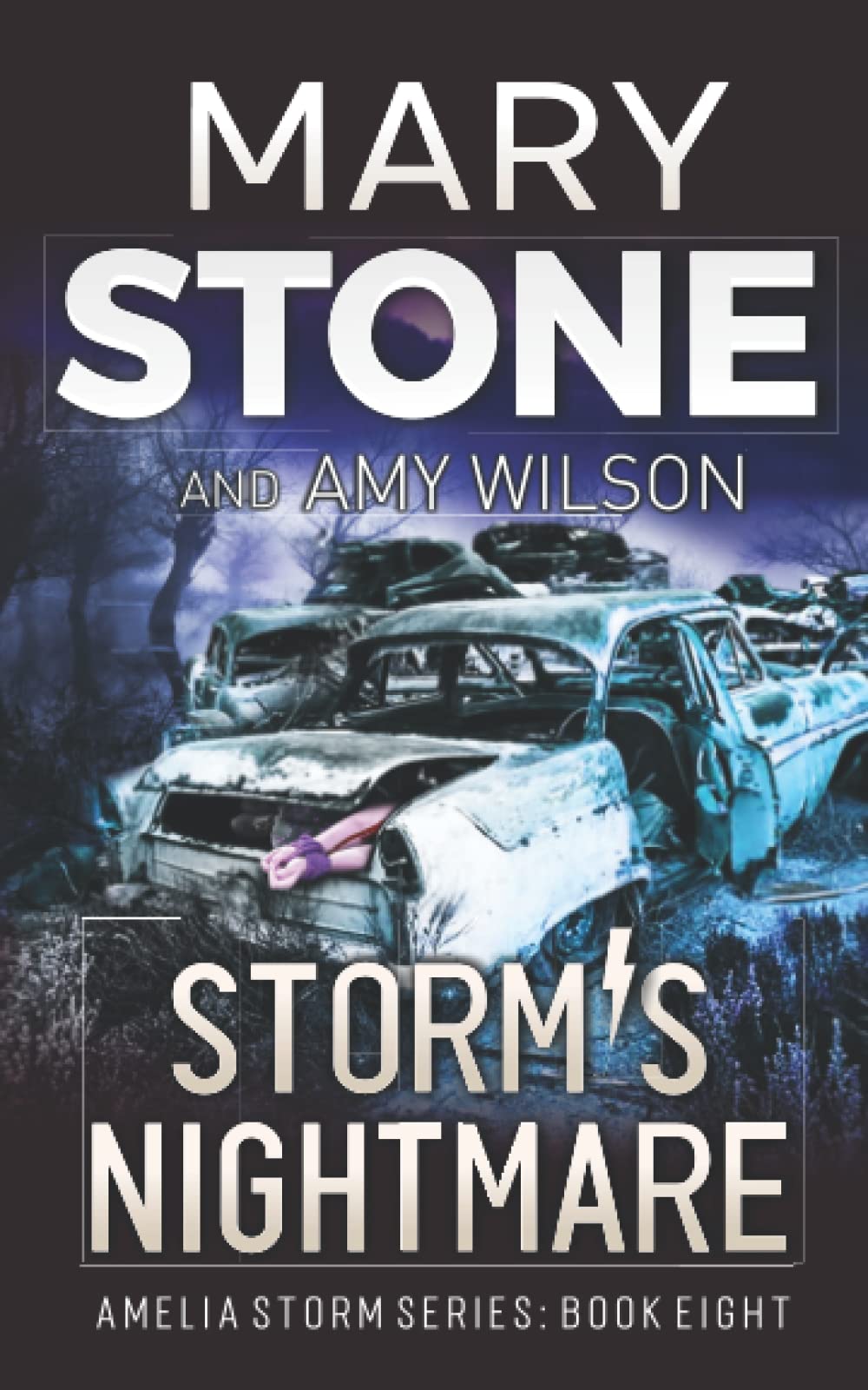 Storm's Nightmare (Amelia Storm Series)