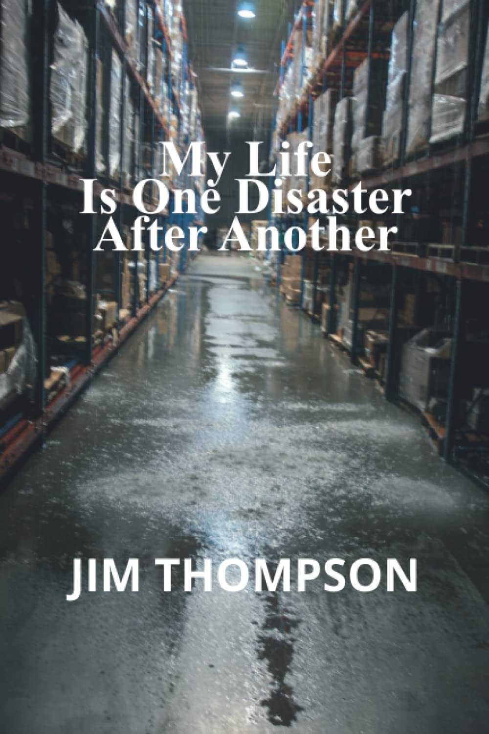 My Life Is One Disaster After Another: Marketing, Sales & Large Loss politics. Getting signed off and Paid Fast! - 4815
