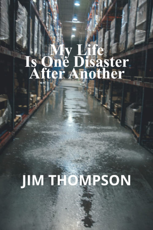 My Life Is One Disaster After Another: Marketing, Sales & Large Loss politics. Getting signed off and Paid Fast! - 4815