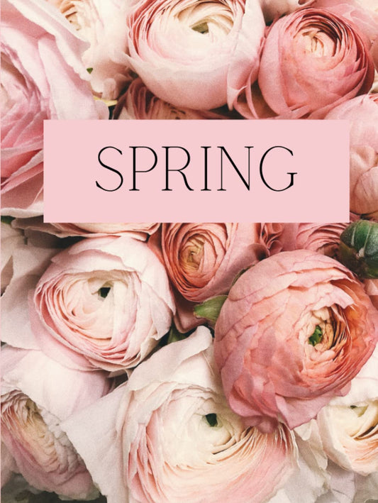 Spring: A Decorative Book (Seasons: A Decorative Book Collection)