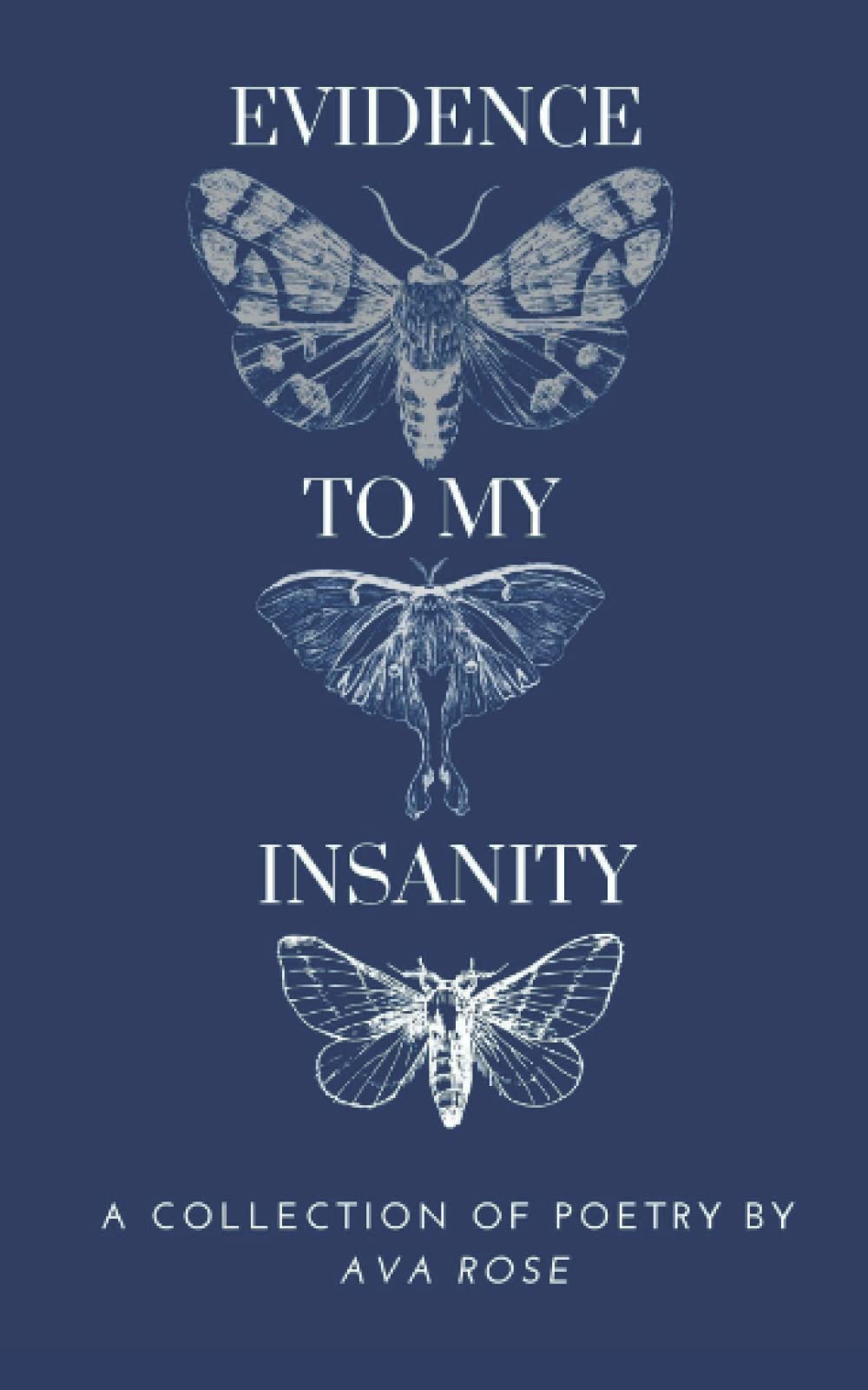 Evidence To My Insanity (The Grey Manuscripts)
