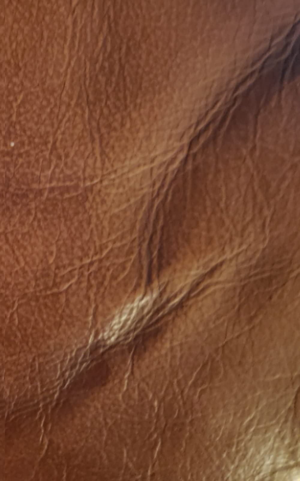 Journal: Leather look