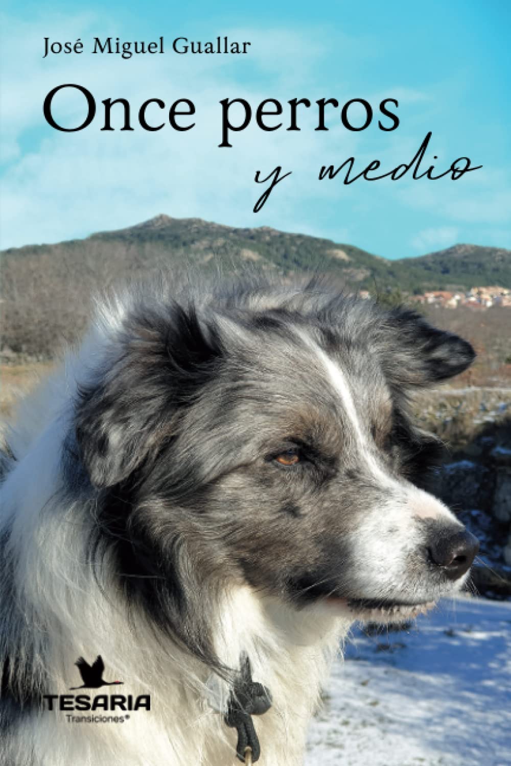Once perros y medio (Spanish Edition)