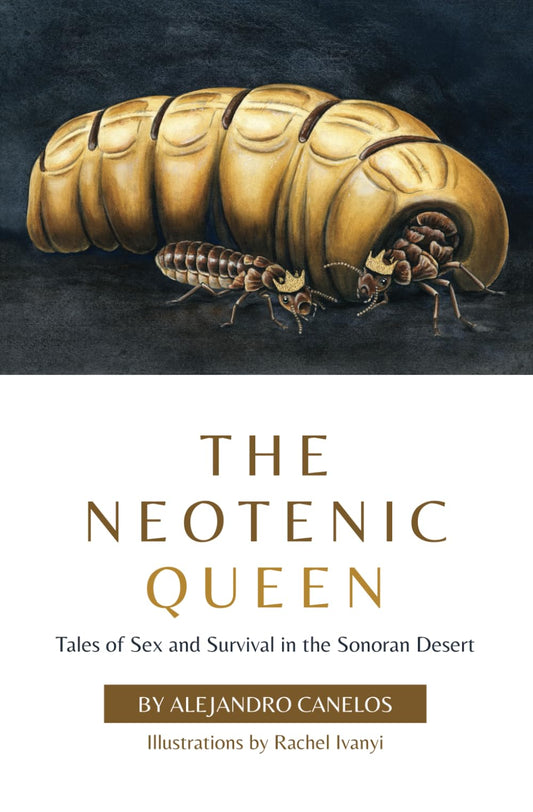 The Neotenic Queen: Tales of Sex and Survival in the Sonoran Desert