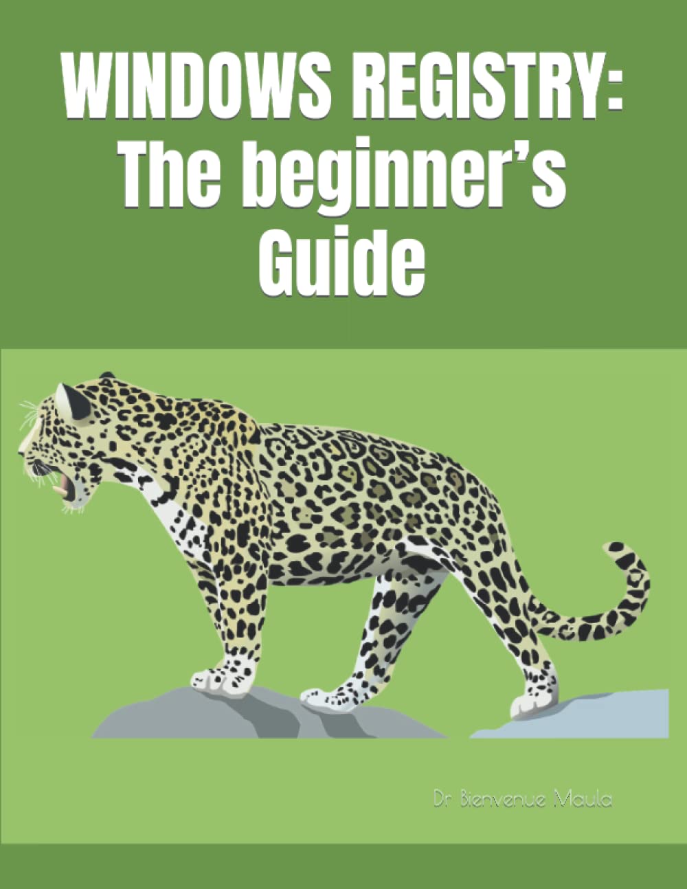 WINDOWS REGISTRY : The beginner’s Guide