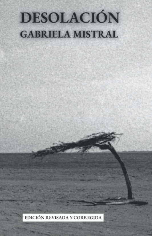 DESOLACIÓN (Spanish Edition) - 200