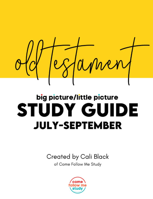 Old Testament Big Picture/Little Picture Study Guide: July-September: Helping busy Latter-day Saints learn the context for Come Follow Me readings