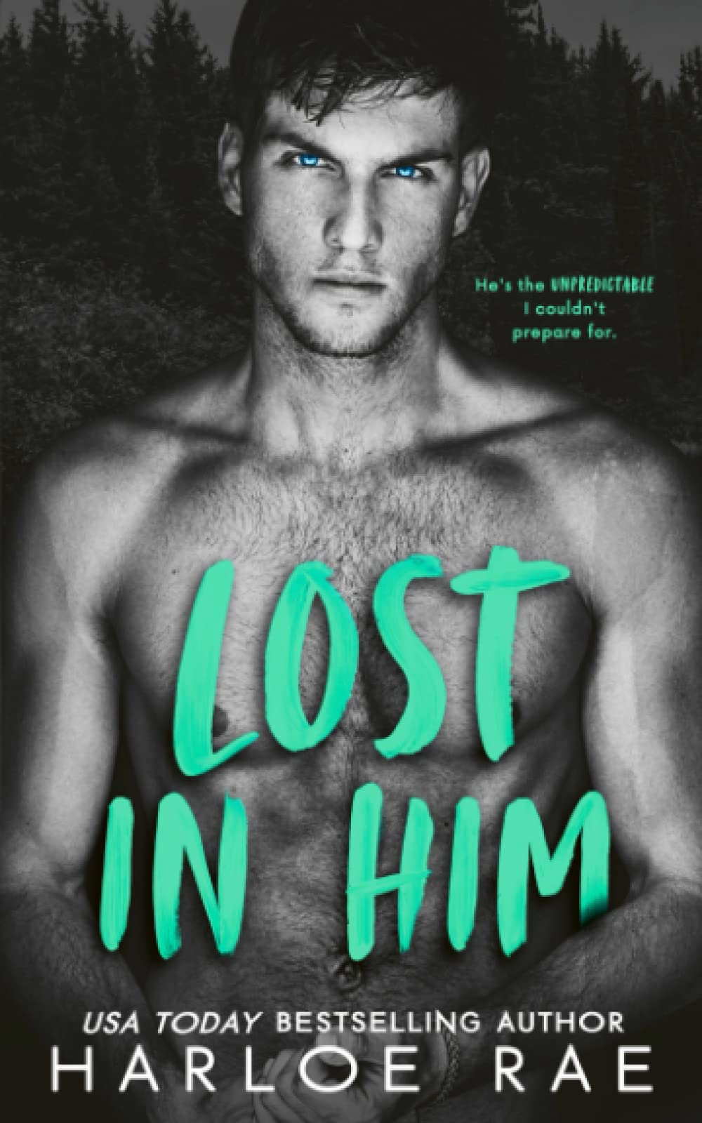 Lost in Him: A Small Town Standalone Romance