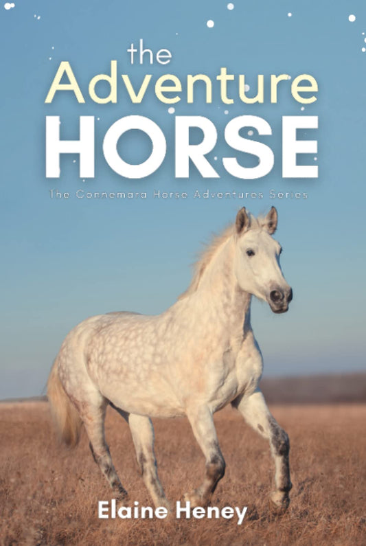 The Adventure Horse - Book 5 in the Connemara Horse Adventure Series for Kids | The Perfect Gift for Children age 8-12 (Connemara Adventures) - 208