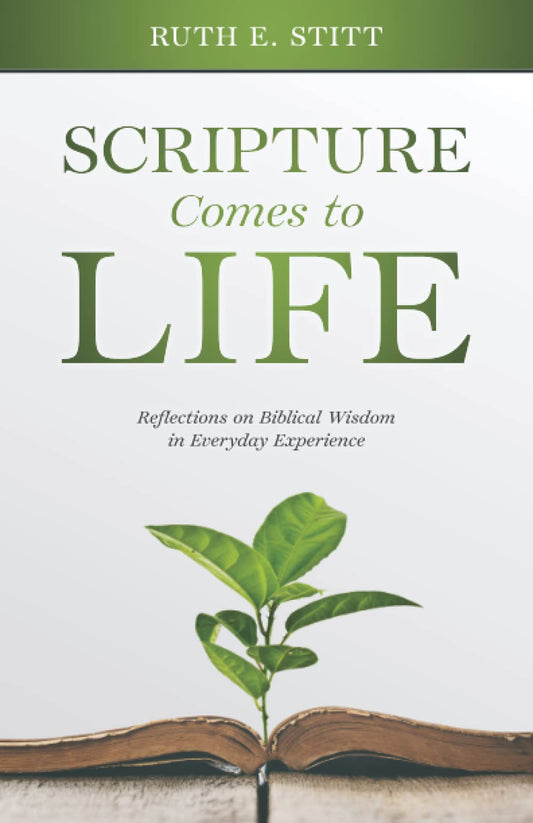 Scripture Comes to Life: Reflections on Biblical Wisdom in Everyday Experience