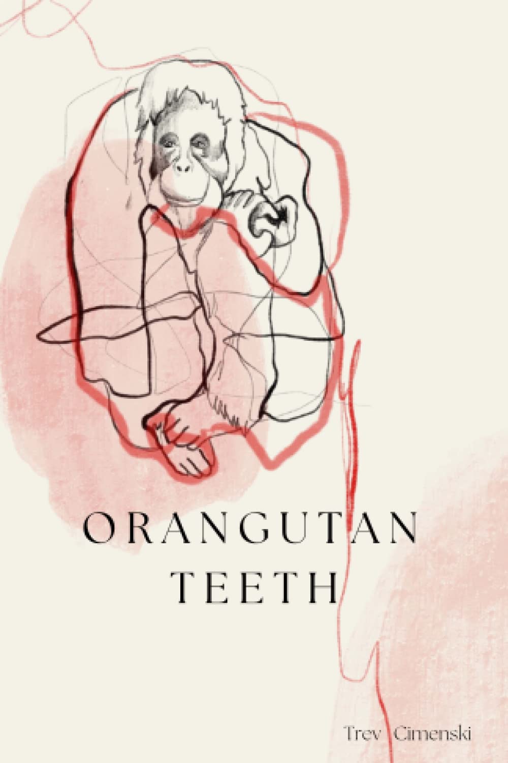 Orangutan Teeth - 5040