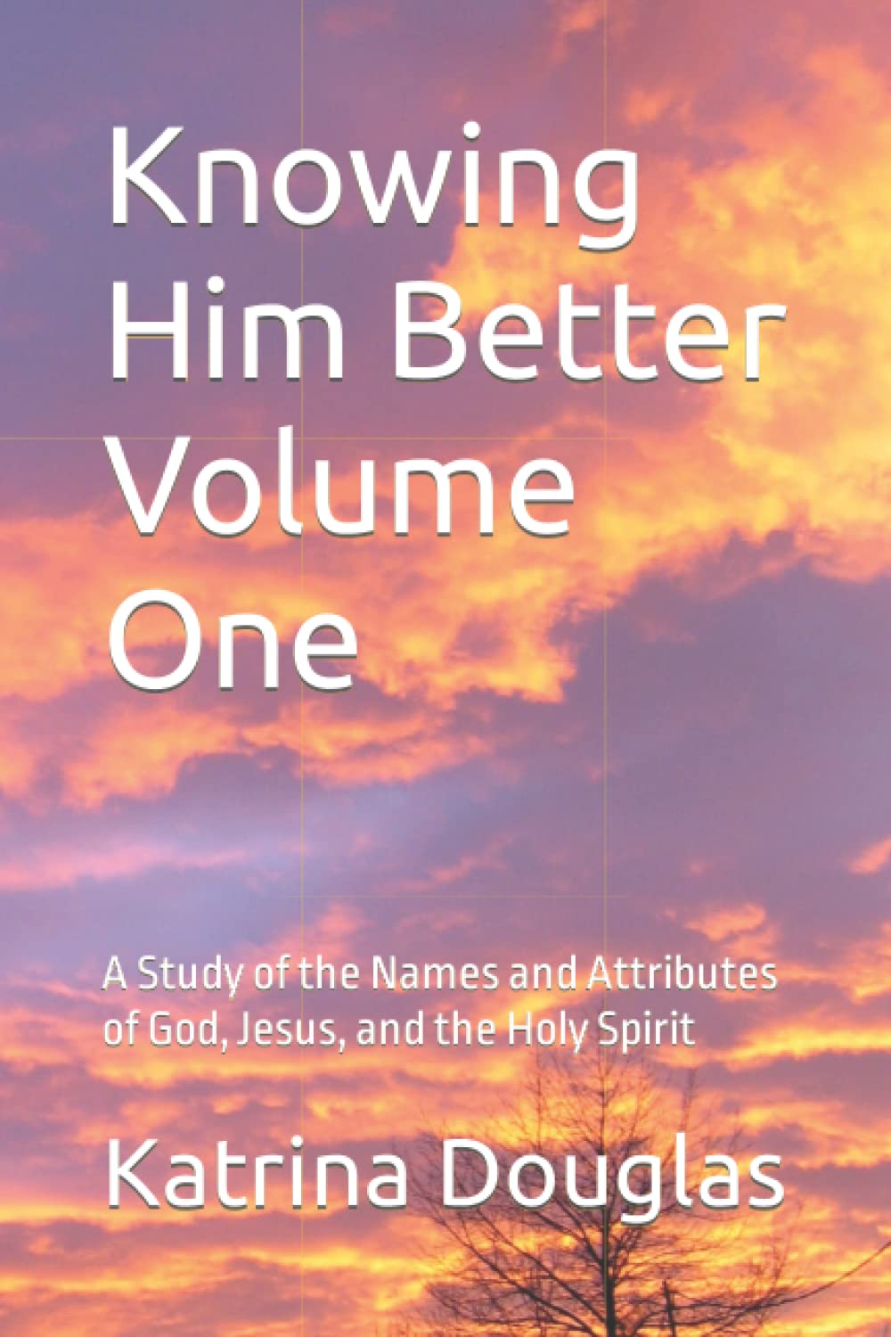 Knowing Him Better Volume One: A Study of the Names and Attributes of God, Jesus, and the Holy Spirit