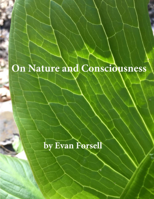 On Nature and Consciousness - 8512