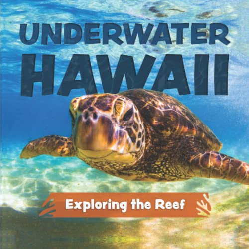 Underwater Hawaii: Exploring the Reef: A Children's Picture Book about Hawaii - 3537