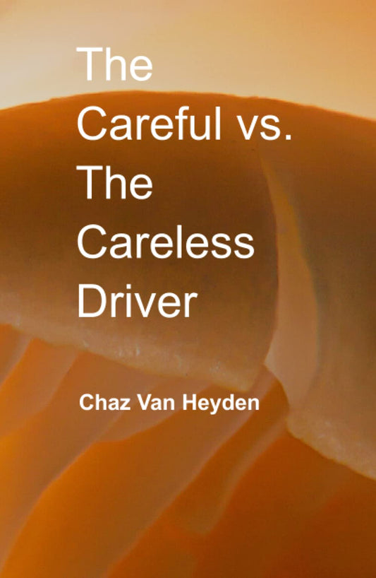 The Careful vs. The Careless Driver - 4558