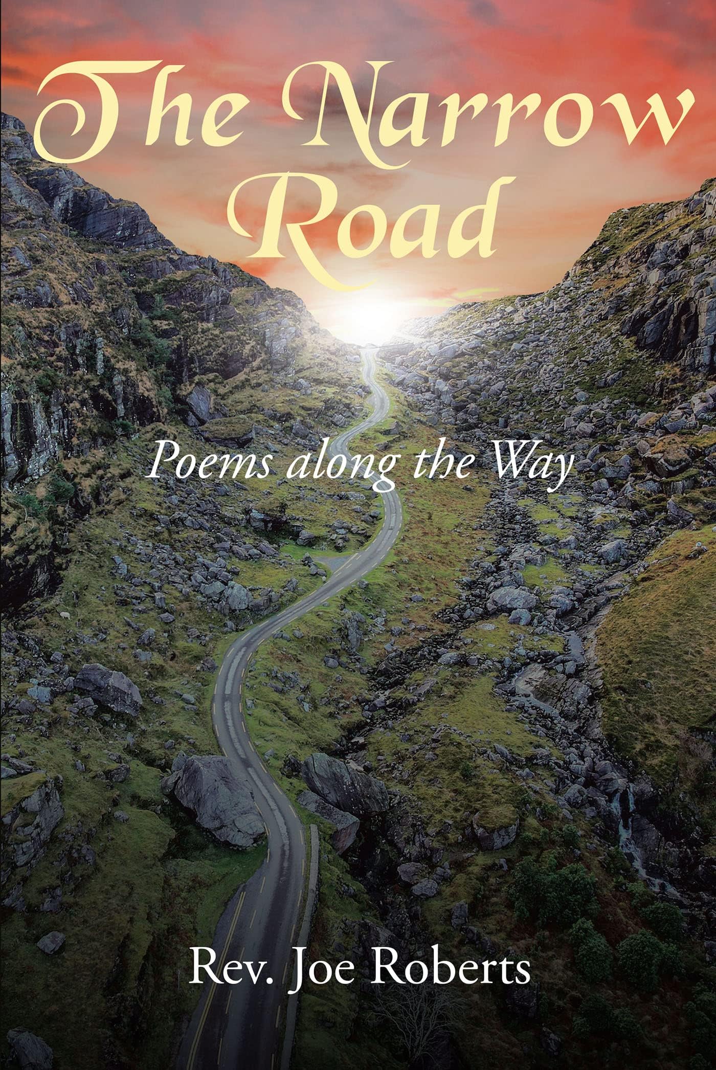 The Narrow Road: Poems along the Way