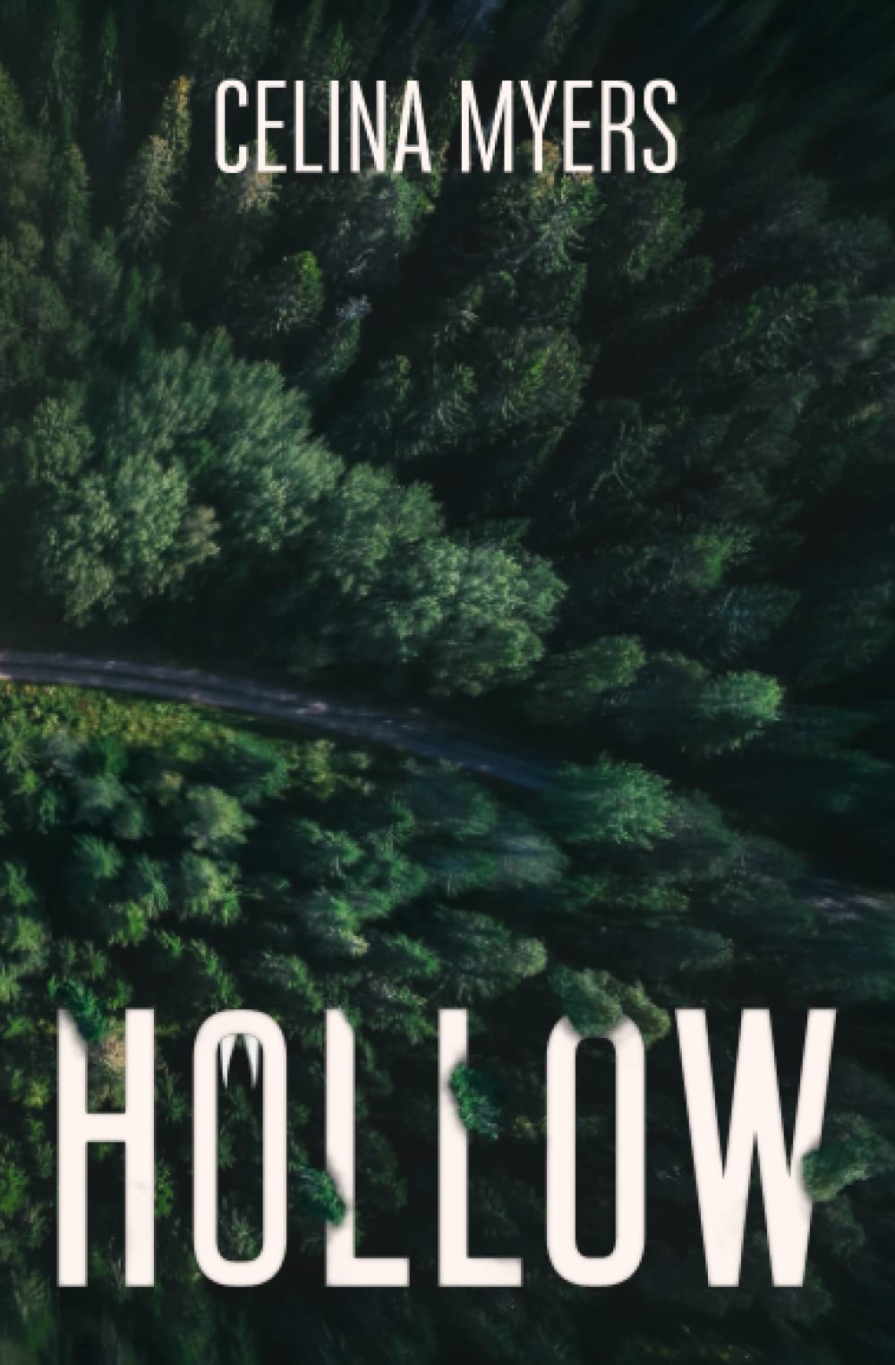 HOLLOW - 5386
