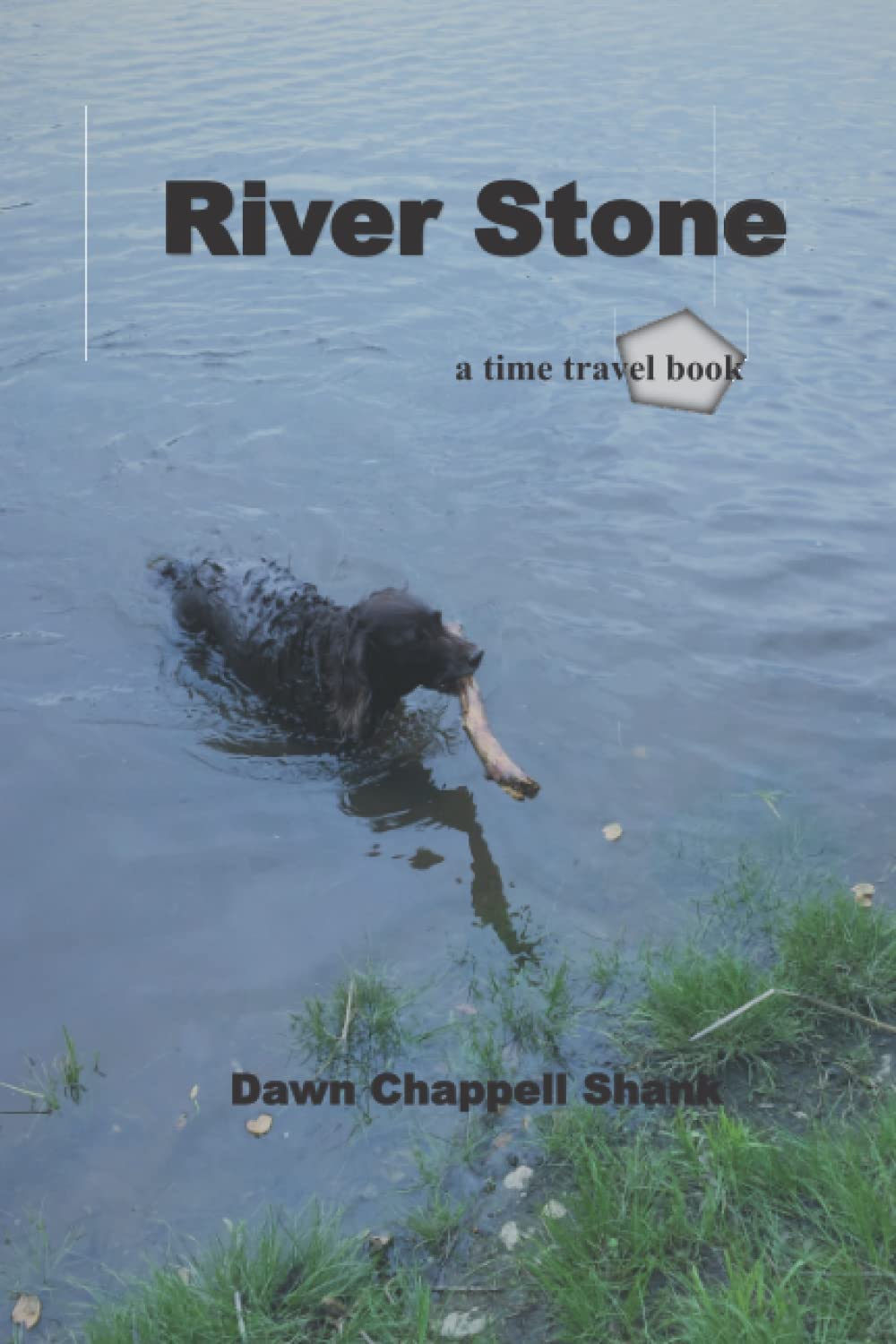 River Stone: a time travel book