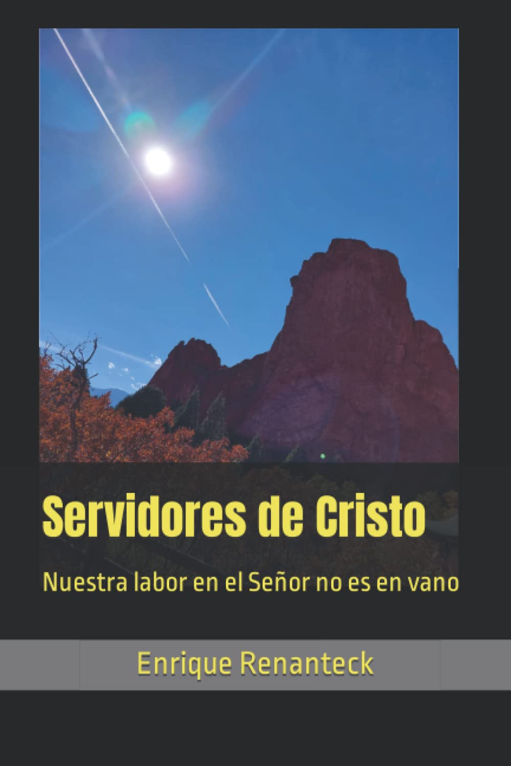 Servidores de Cristo: Nuestro labor en el Señor no es en vano (Spanish Edition) - 3820