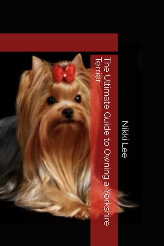The Ultimate Guide to Owning a Yorkshire Terrier - 5917