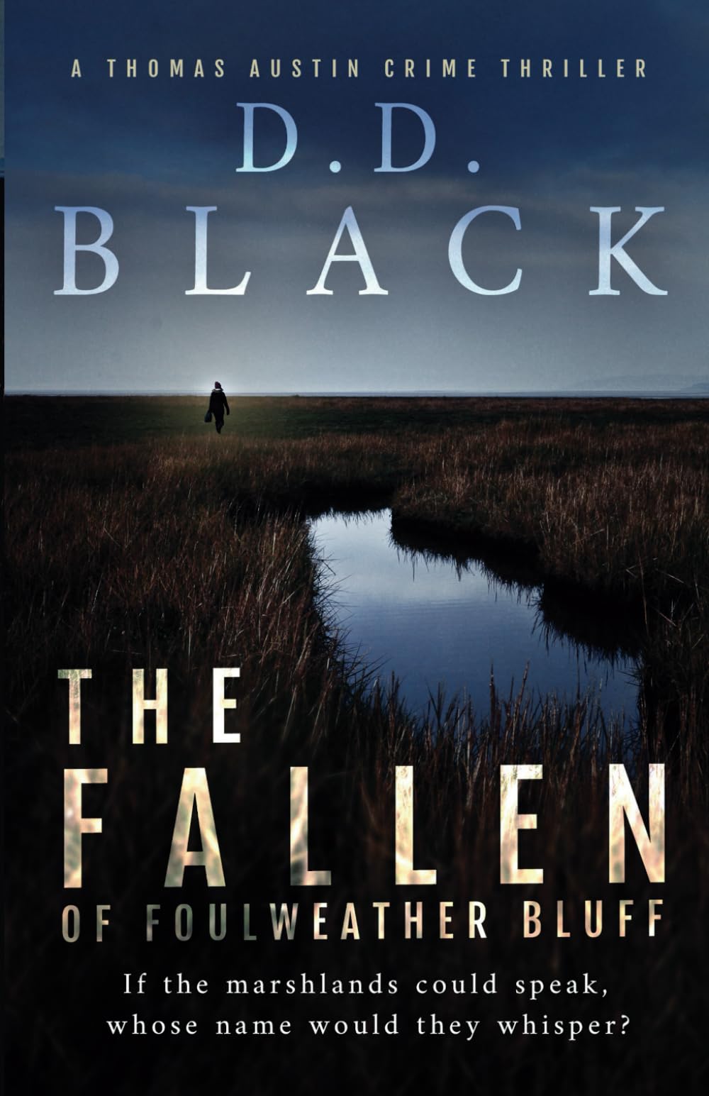 The Fallen of Foulweather Bluff (A Thomas Austin Crime Thriller)