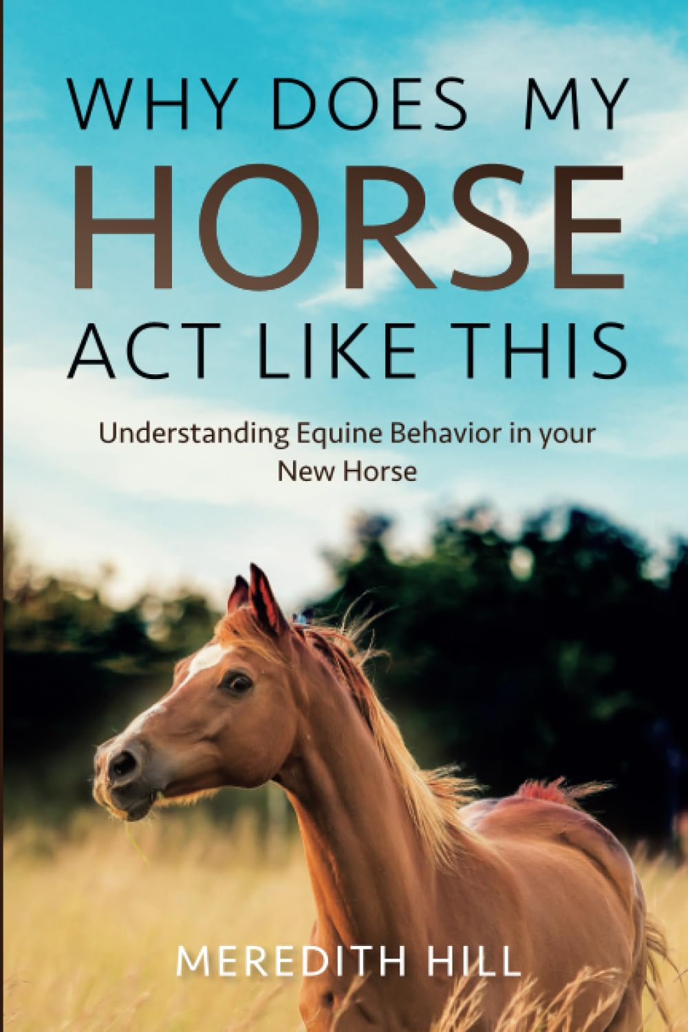 Why Does My Horse Act Like This?: Understanding Equine Behavior in your New Horse (Horse care) - 5473