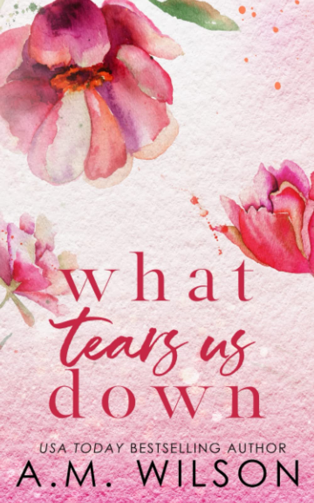 What Tears Us Down: Special Edition Paperback (Arrow Creek Special Edition Paperbacks)