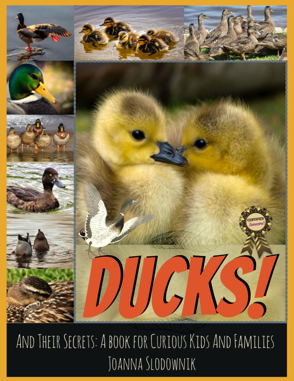Ducks! And Their Secrets: A Book for Curious Kids and Families (Animals and Their Secrets) - 1476