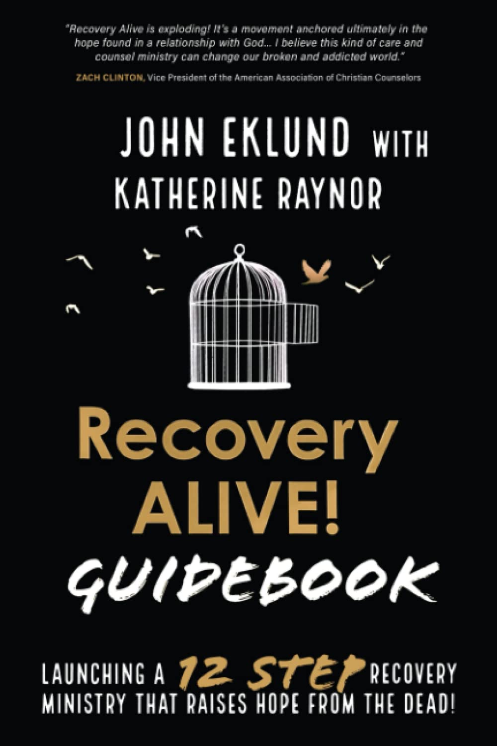 Recovery ALIVE! Guidebook: Launching a 12 Step Recovery Ministry that Raises Hope from the Dead!