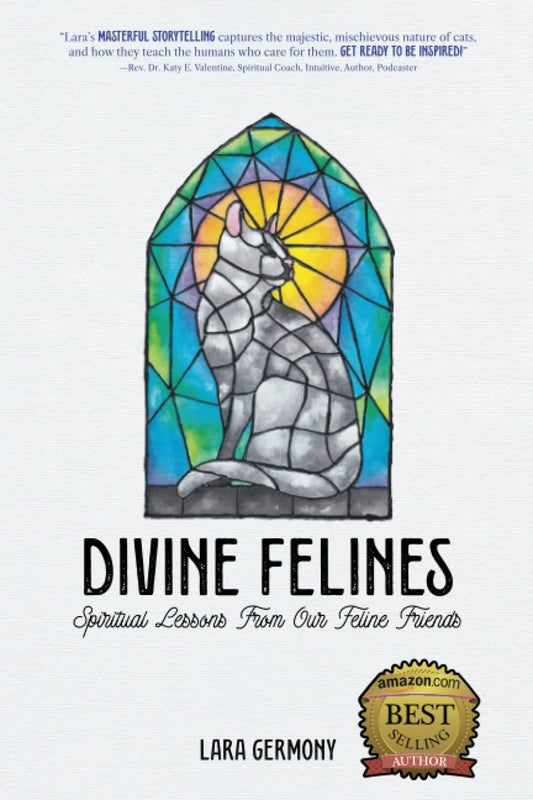 Divine Felines: Spiritual Lessons From Our Feline Friends - 5263