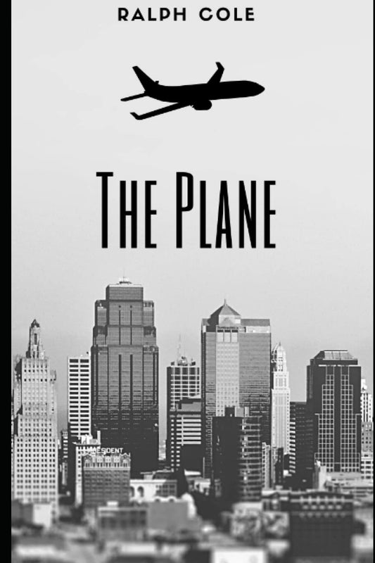 The Plane - 3699
