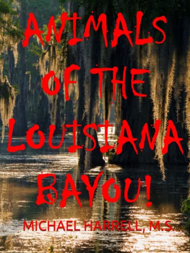 ANIMALS OF THE LOUISIANA BAYOU! (Wildlife of North America and other educational books.) - 6684