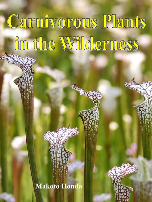 Carnivorous Plants in the Wilderness - 8972